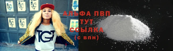 спиды Покачи