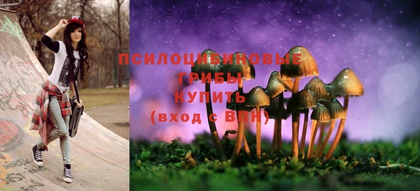 сатива Арсеньев
