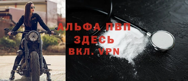 сатива Арсеньев